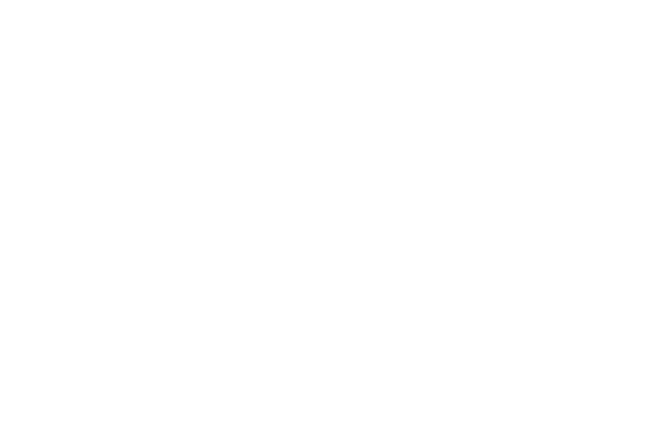 LOGO-SafeGuard