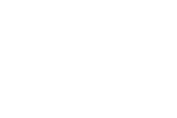 LOGO-WaynesCustomWoodcraft